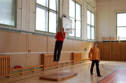 Obrázek v galerii